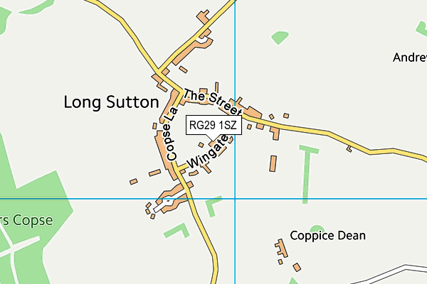 RG29 1SZ map - OS VectorMap District (Ordnance Survey)