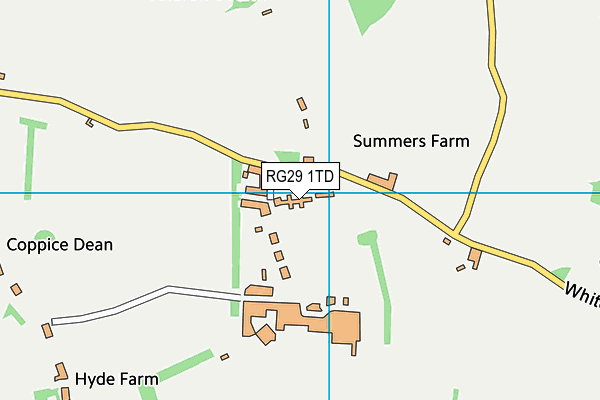 RG29 1TD map - OS VectorMap District (Ordnance Survey)