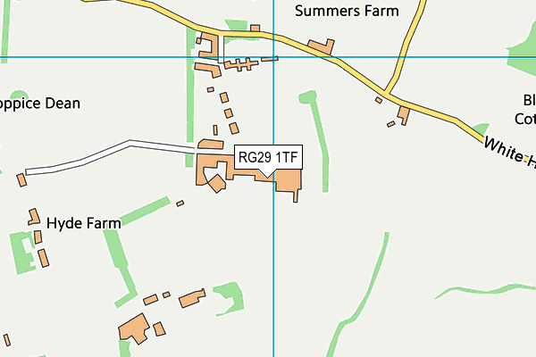 RG29 1TF map - OS VectorMap District (Ordnance Survey)