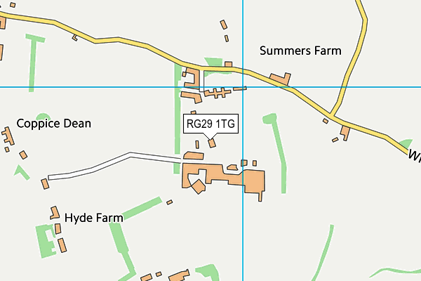RG29 1TG map - OS VectorMap District (Ordnance Survey)