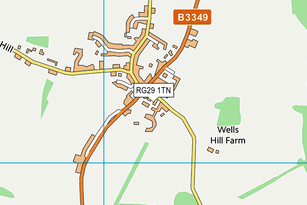 RG29 1TN map - OS VectorMap District (Ordnance Survey)