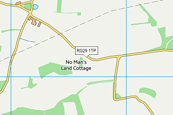 RG29 1TP map - OS VectorMap District (Ordnance Survey)