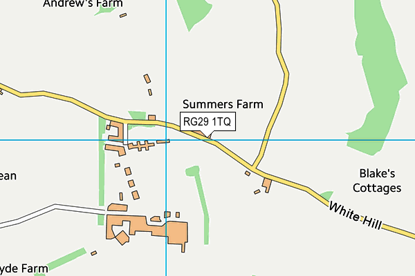 RG29 1TQ map - OS VectorMap District (Ordnance Survey)