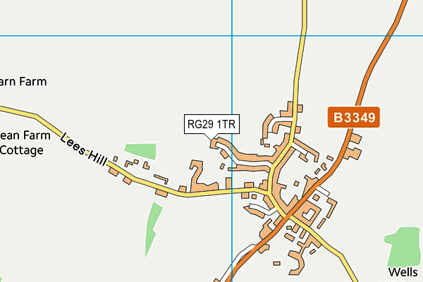 RG29 1TR map - OS VectorMap District (Ordnance Survey)