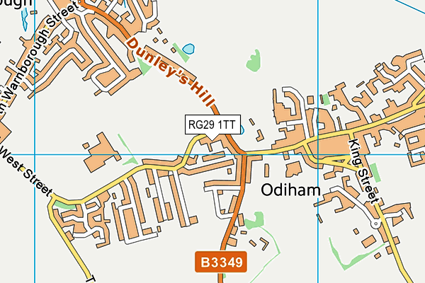 RG29 1TT map - OS VectorMap District (Ordnance Survey)