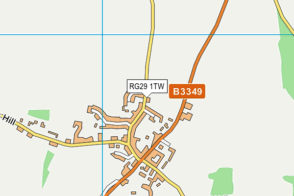 RG29 1TW map - OS VectorMap District (Ordnance Survey)