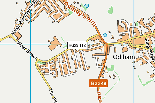 RG29 1TZ map - OS VectorMap District (Ordnance Survey)