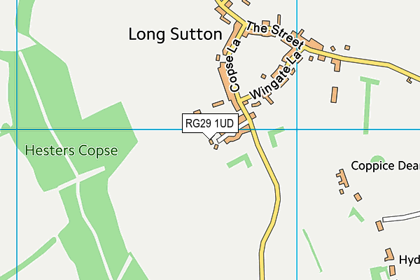 RG29 1UD map - OS VectorMap District (Ordnance Survey)