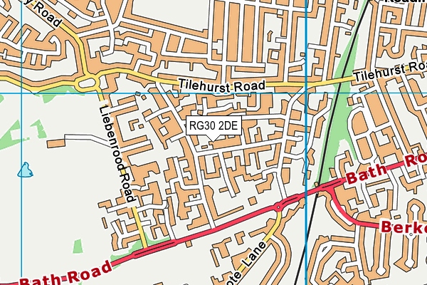 RG30 2DE map - OS VectorMap District (Ordnance Survey)