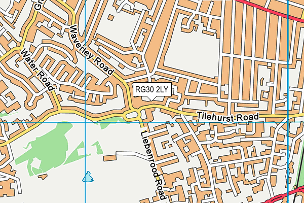 RG30 2LY map - OS VectorMap District (Ordnance Survey)