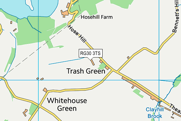 RG30 3TS map - OS VectorMap District (Ordnance Survey)