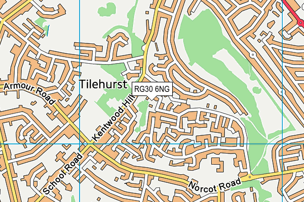 RG30 6NG map - OS VectorMap District (Ordnance Survey)