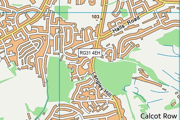 RG31 4EH map - OS VectorMap District (Ordnance Survey)