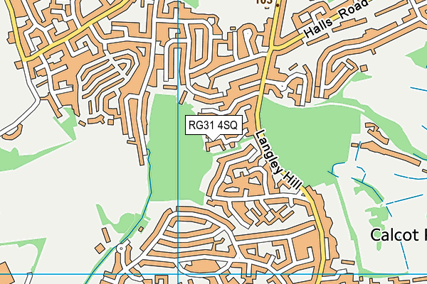 RG31 4SQ map - OS VectorMap District (Ordnance Survey)