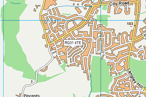 RG31 4TE map - OS VectorMap District (Ordnance Survey)