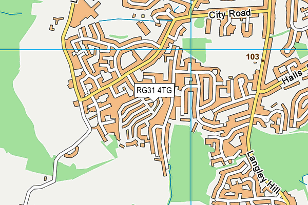 RG31 4TG map - OS VectorMap District (Ordnance Survey)