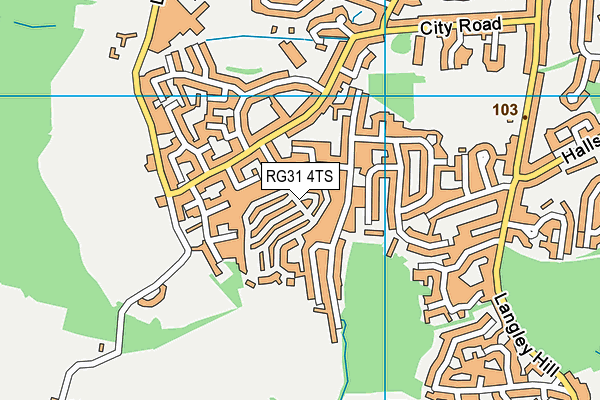 RG31 4TS map - OS VectorMap District (Ordnance Survey)