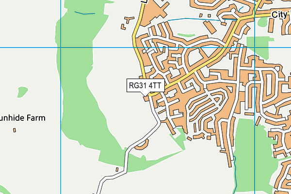 Turnhams Farm Recreation Ground map (RG31 4TT) - OS VectorMap District (Ordnance Survey)