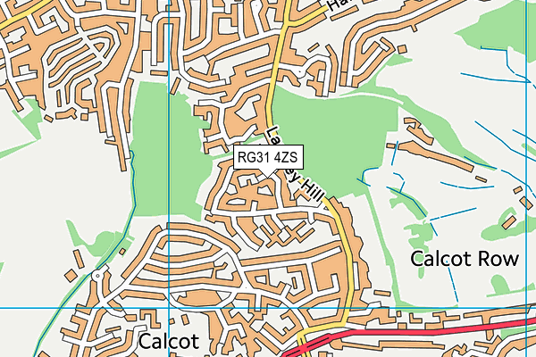 RG31 4ZS map - OS VectorMap District (Ordnance Survey)