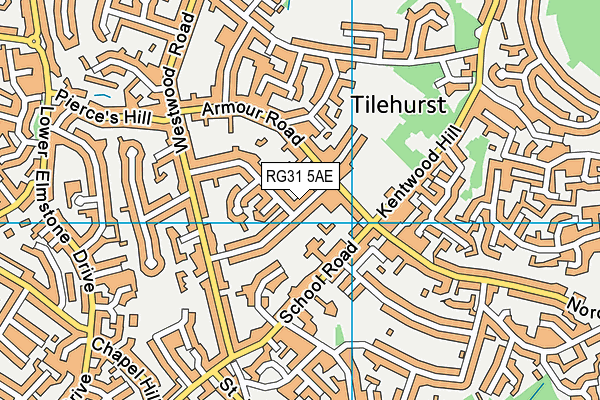 RG31 5AE map - OS VectorMap District (Ordnance Survey)