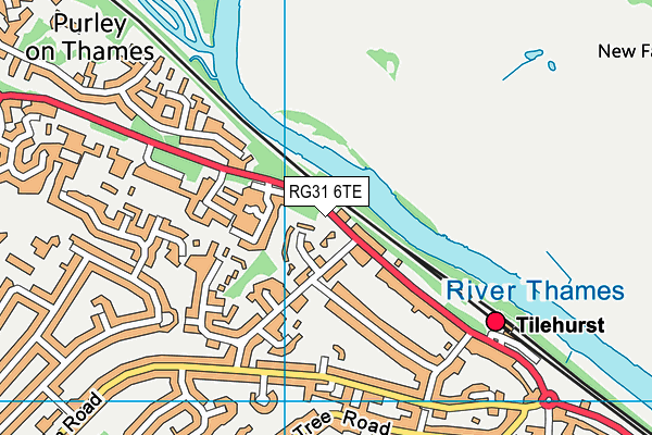 RG31 6TE map - OS VectorMap District (Ordnance Survey)