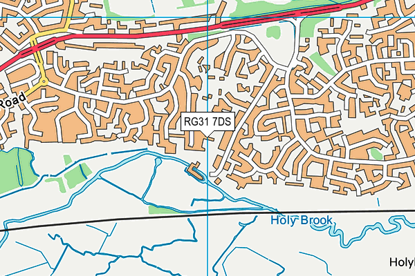 RG31 7DS map - OS VectorMap District (Ordnance Survey)