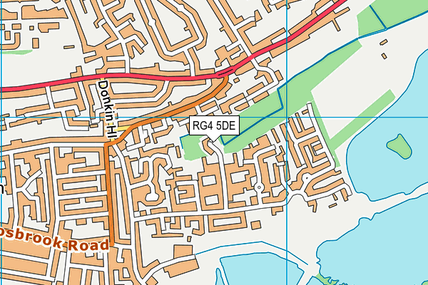 RG4 5DE map - OS VectorMap District (Ordnance Survey)