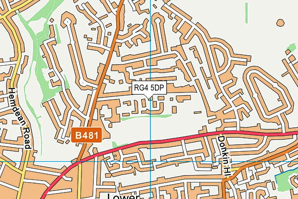 RG4 5DP map - OS VectorMap District (Ordnance Survey)