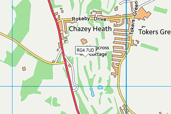 The Club At Mapledurham map (RG4 7UD) - OS VectorMap District (Ordnance Survey)