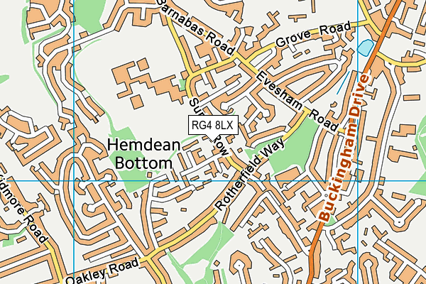RG4 8LX map - OS VectorMap District (Ordnance Survey)