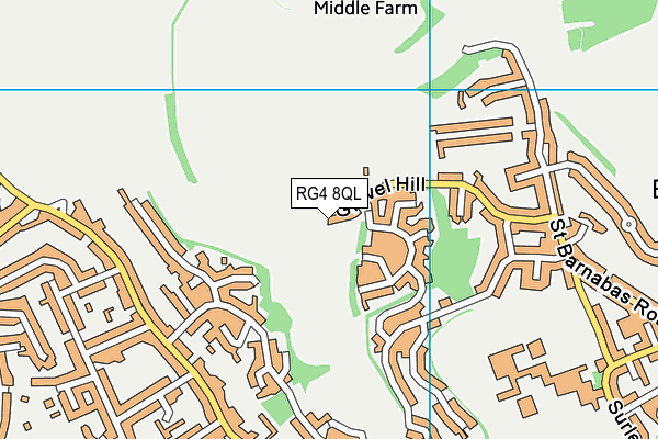 RG4 8QL map - OS VectorMap District (Ordnance Survey)