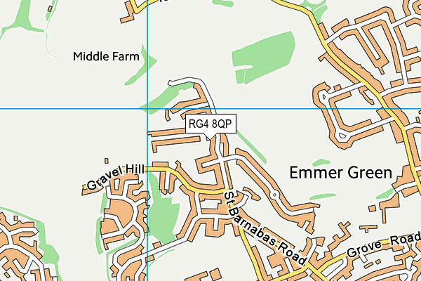 RG4 8QP map - OS VectorMap District (Ordnance Survey)