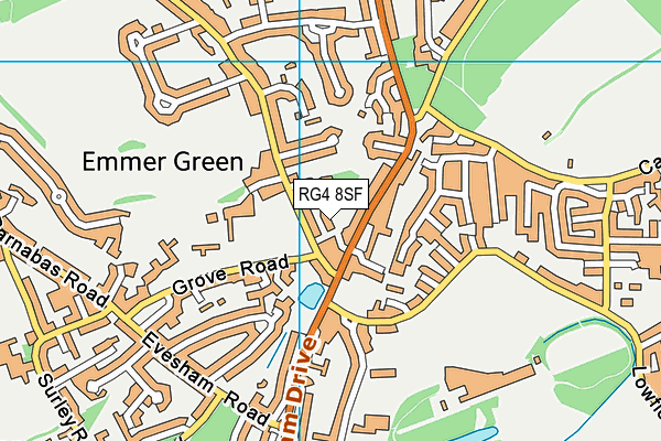 RG4 8SF map - OS VectorMap District (Ordnance Survey)