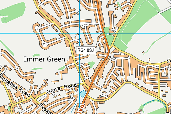 RG4 8SJ map - OS VectorMap District (Ordnance Survey)
