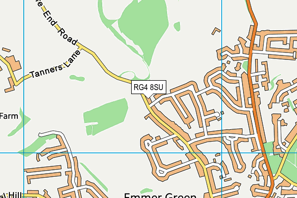 RG4 8SU map - OS VectorMap District (Ordnance Survey)
