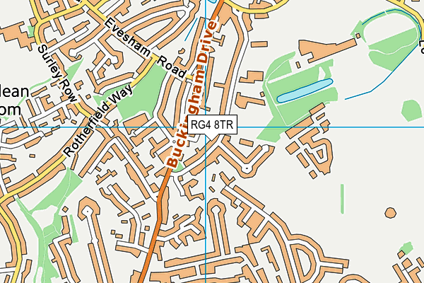 RG4 8TR map - OS VectorMap District (Ordnance Survey)