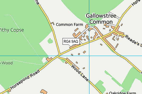 RG4 9AQ map - OS VectorMap District (Ordnance Survey)