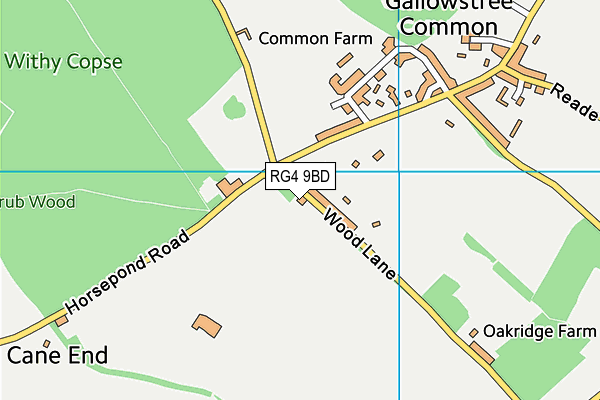 RG4 9BD map - OS VectorMap District (Ordnance Survey)
