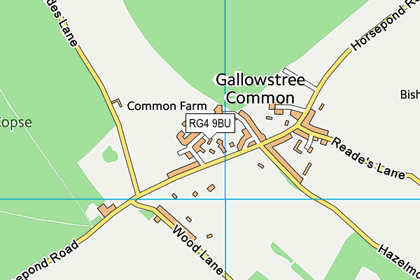 Gallowstree Common Recreation Ground map (RG4 9BU) - OS VectorMap District (Ordnance Survey)