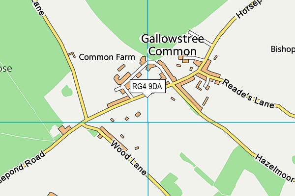 RG4 9DA map - OS VectorMap District (Ordnance Survey)