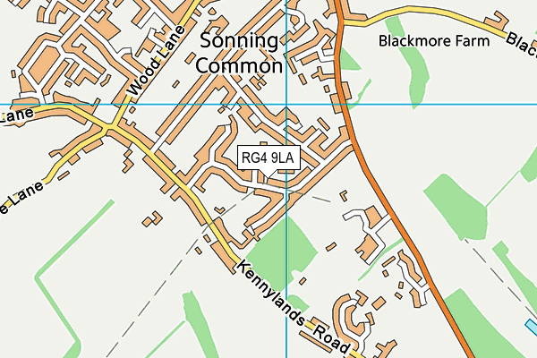 RG4 9LA map - OS VectorMap District (Ordnance Survey)