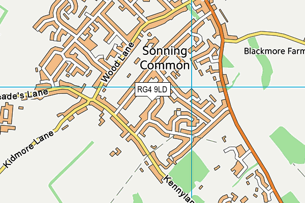 RG4 9LD map - OS VectorMap District (Ordnance Survey)