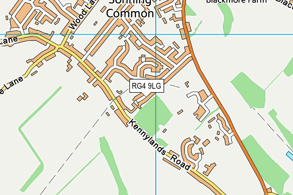 RG4 9LG map - OS VectorMap District (Ordnance Survey)