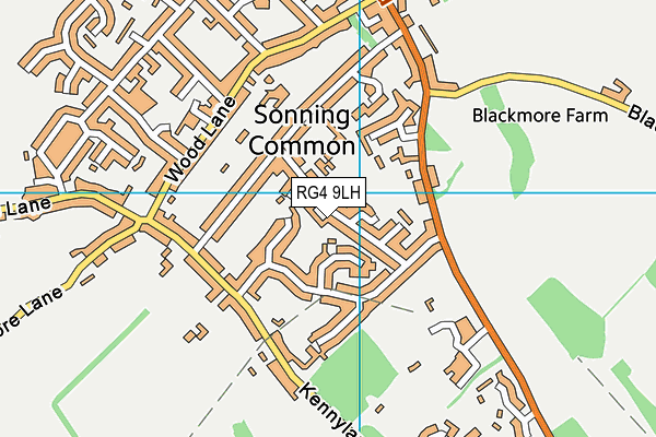 RG4 9LH map - OS VectorMap District (Ordnance Survey)