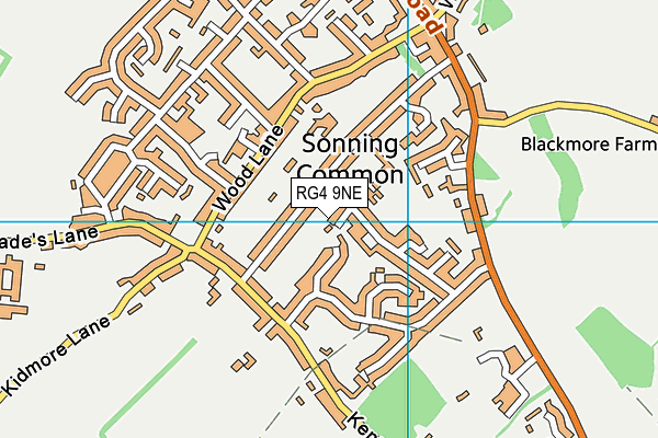 RG4 9NE map - OS VectorMap District (Ordnance Survey)
