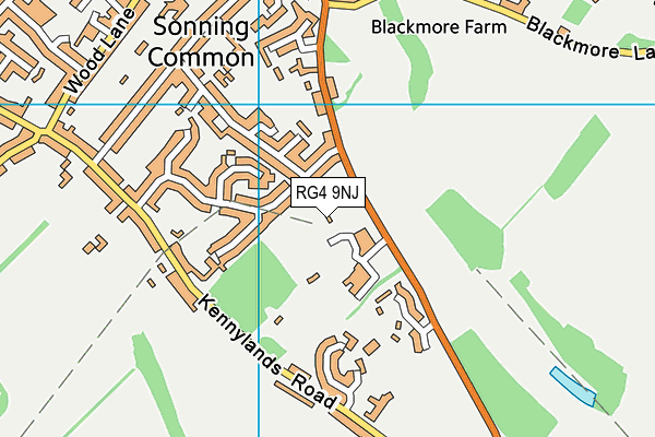 RG4 9NJ map - OS VectorMap District (Ordnance Survey)