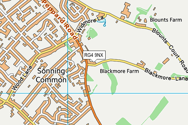 RG4 9NX map - OS VectorMap District (Ordnance Survey)