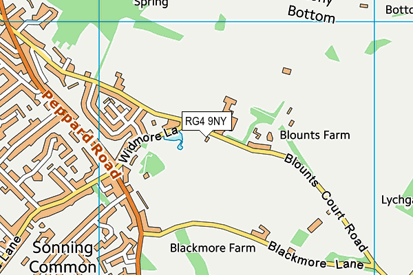 RG4 9NY map - OS VectorMap District (Ordnance Survey)