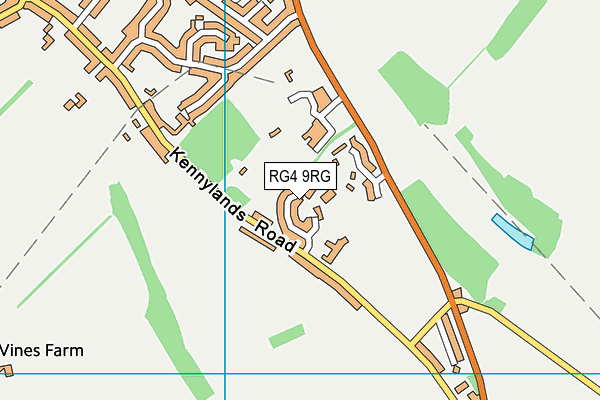 RG4 9RG map - OS VectorMap District (Ordnance Survey)