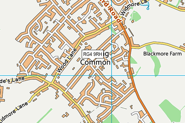 RG4 9RH map - OS VectorMap District (Ordnance Survey)